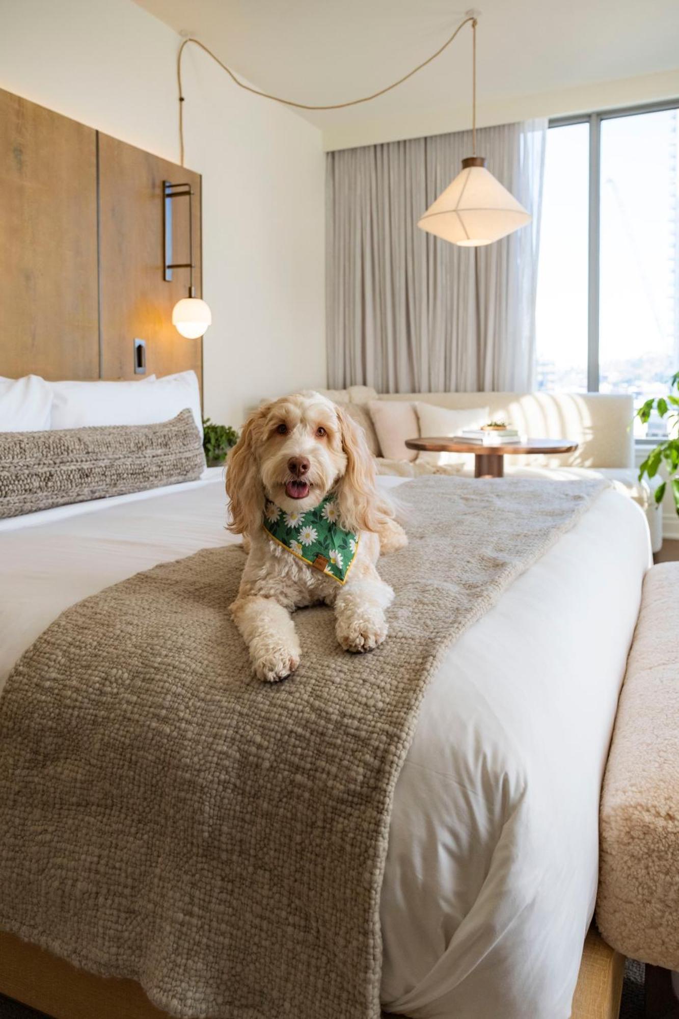 1 Hotel Seattle Ngoại thất bức ảnh